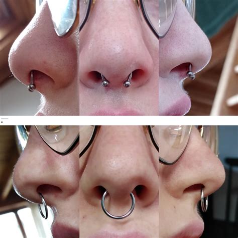 anatomy for septum piercing|correct septum piercing placement.